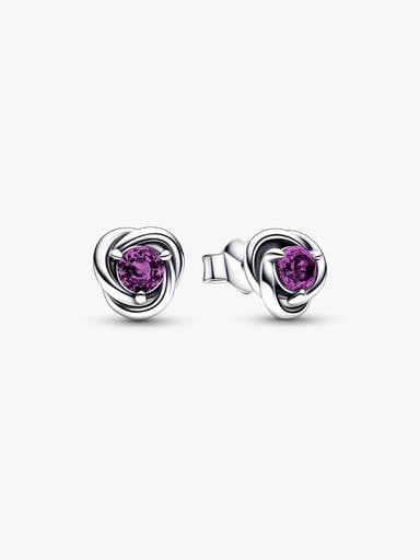 February Crystal Birthstone Eternity Circle Stud Earrings