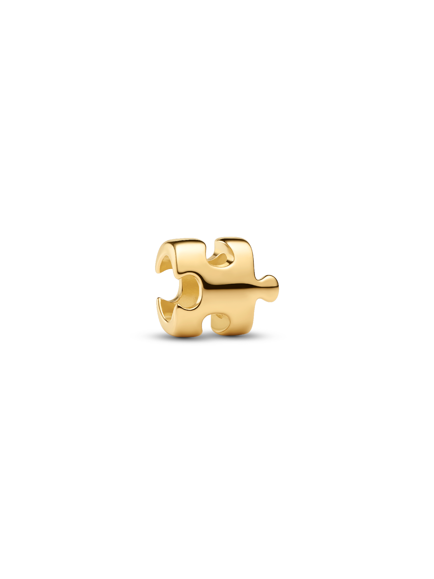 Puzzle Piece Mini Charm