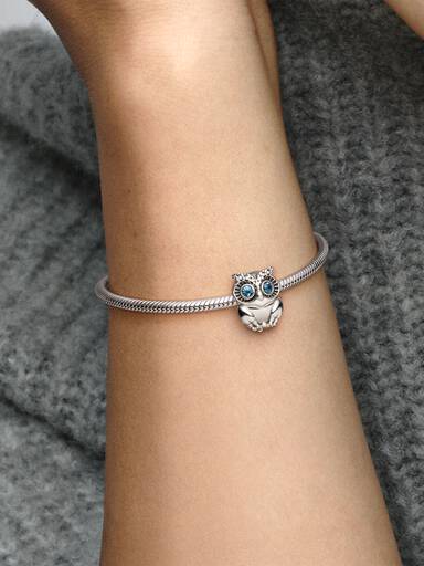 Sparkling Owl Charm
