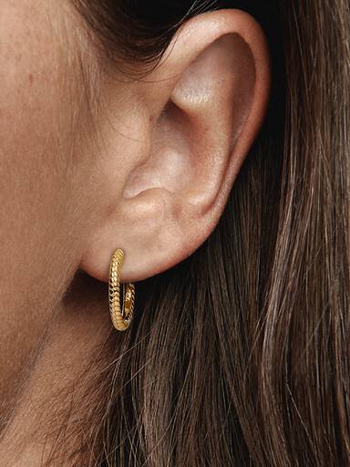 Pandora Moments Charm Hoop Earrings