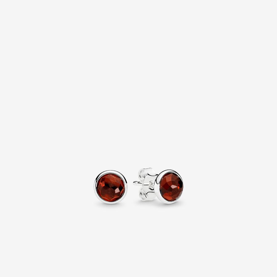 January Droplets Earring Studs image number 0