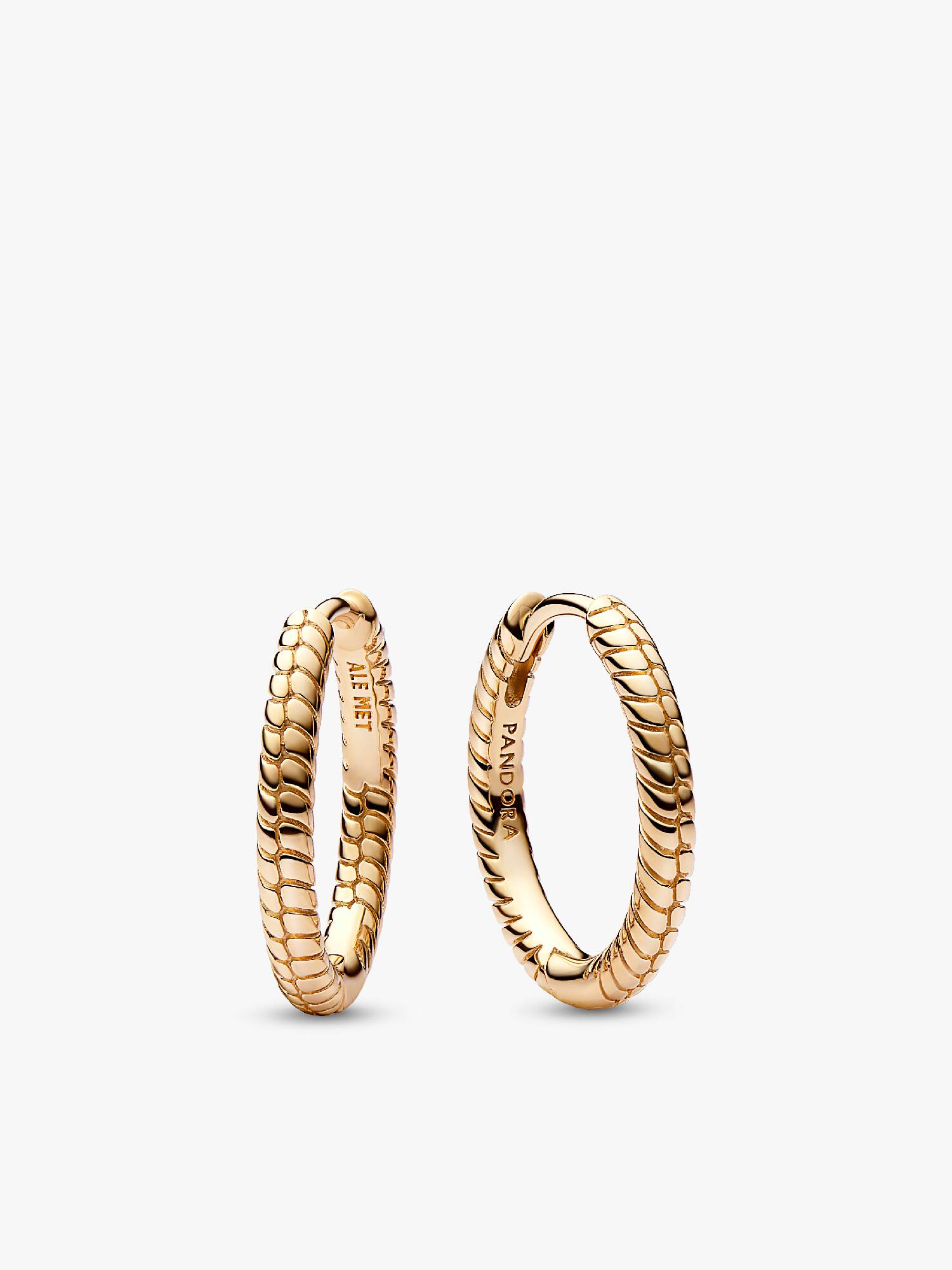 Pandora Moments Charm Hoop Earrings