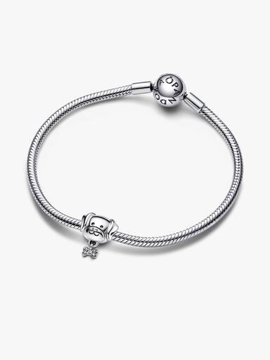 Pet Dog & Bone Charm