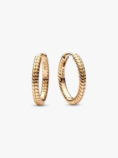 Pandora Moments Charm Hoop Earrings