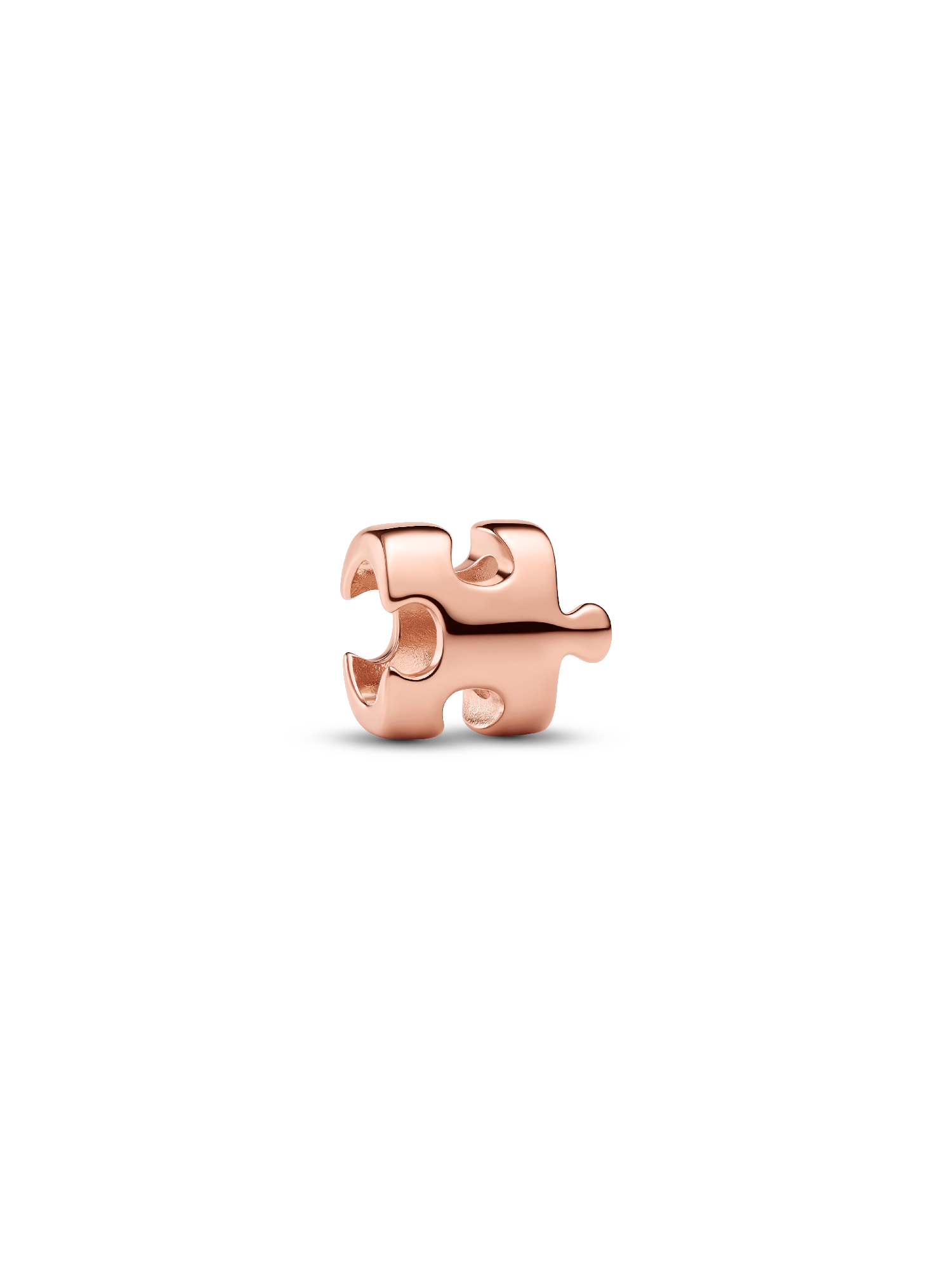 Puzzle Piece Mini Charm