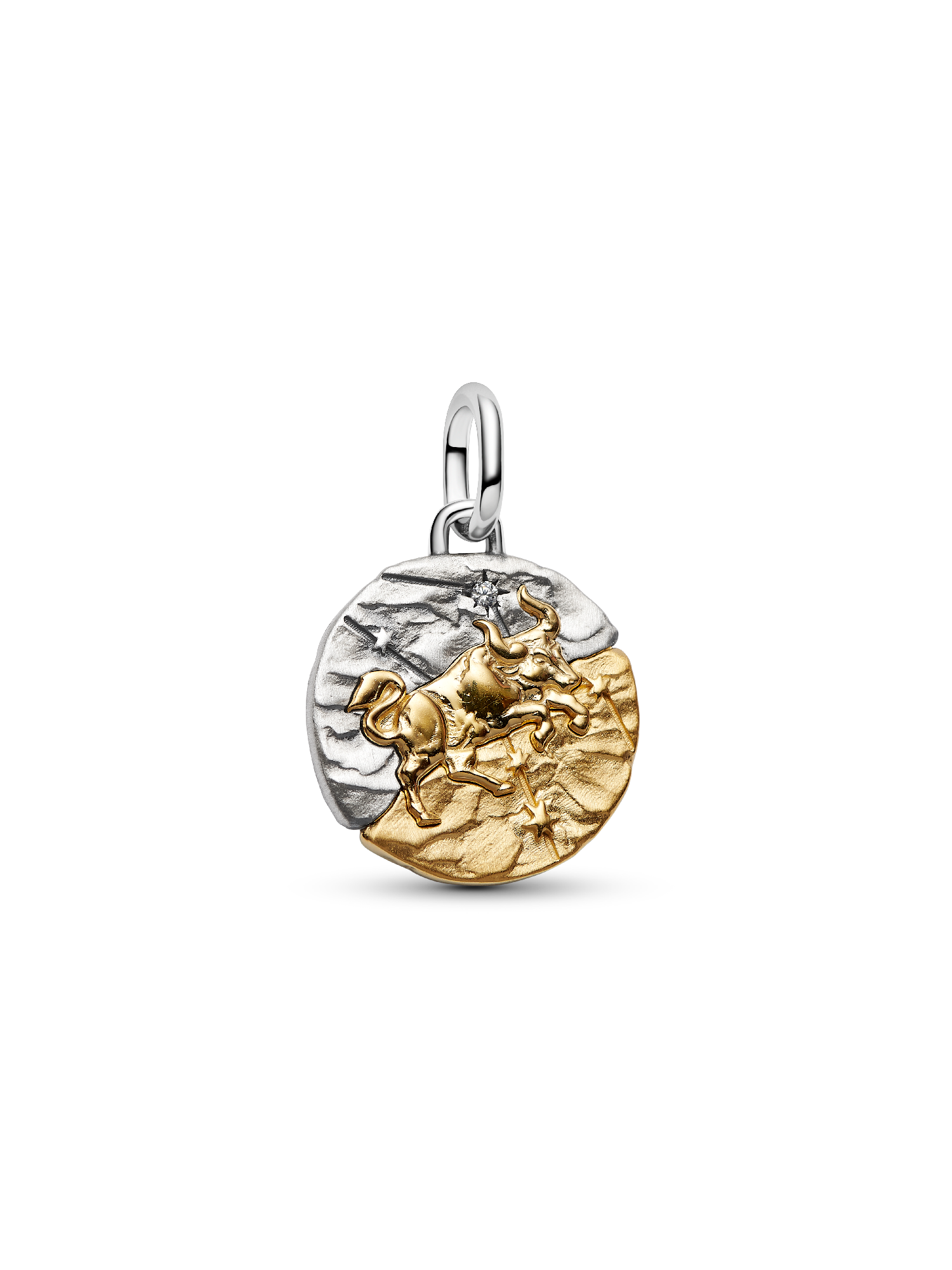 Taurus Zodiac Medallion Charm