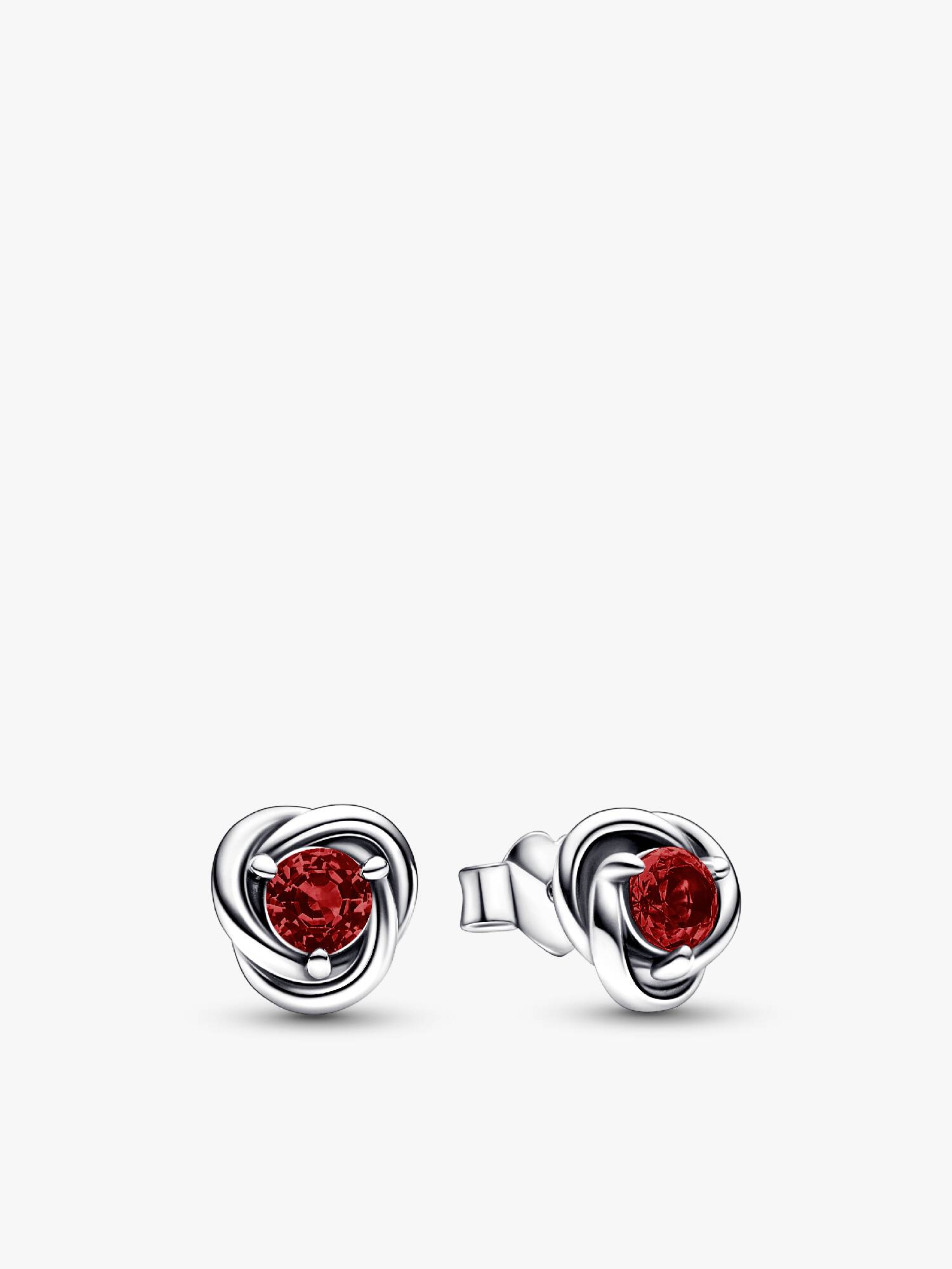January Crystal Birthstone Eternity Circle Stud Earrings