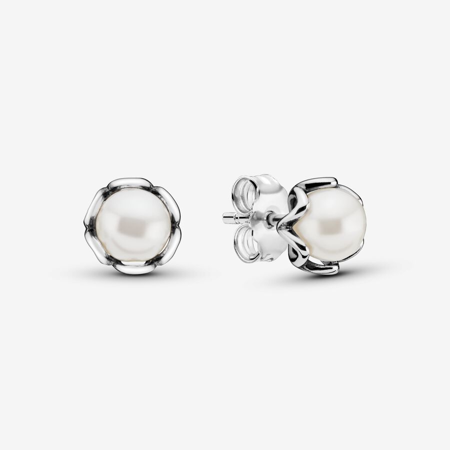 Elegant Freshwater Cultured Pearl Stud Earrings image number 0