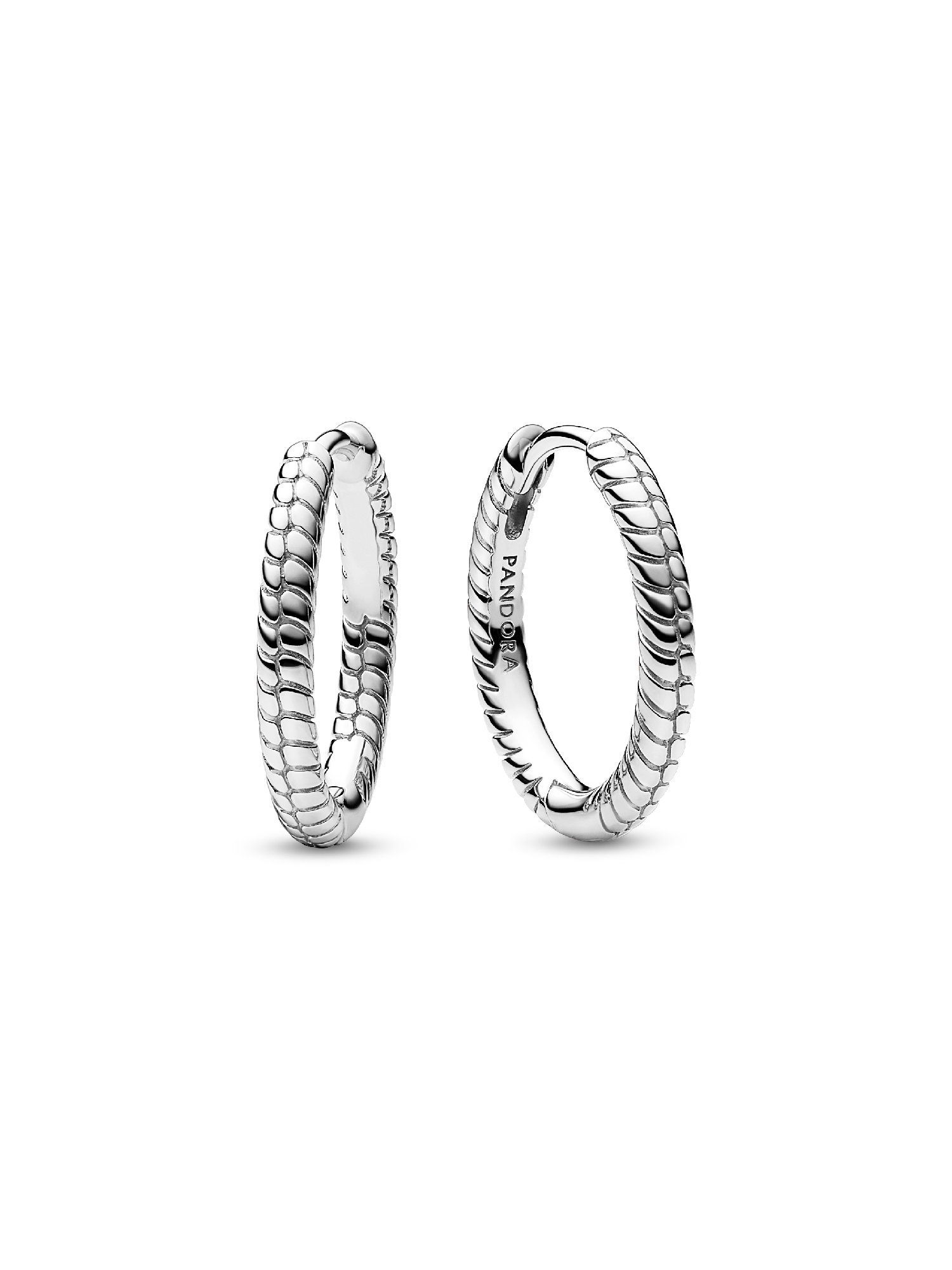 Pandora Moments Charm Hoop Earrings