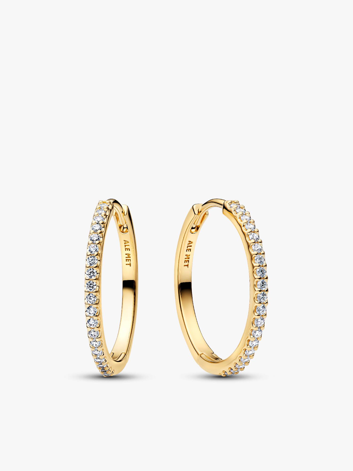 Sparkling Hoop Earrings