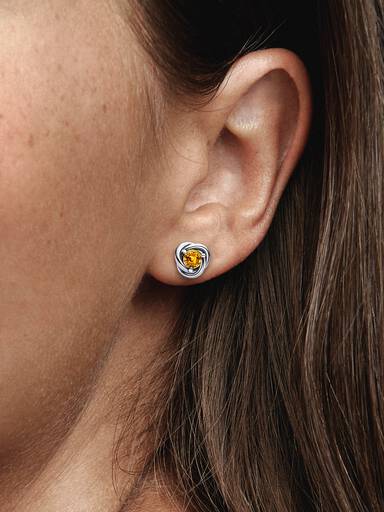 November Crystal Birthstone Eternity Circle Stud Earrings