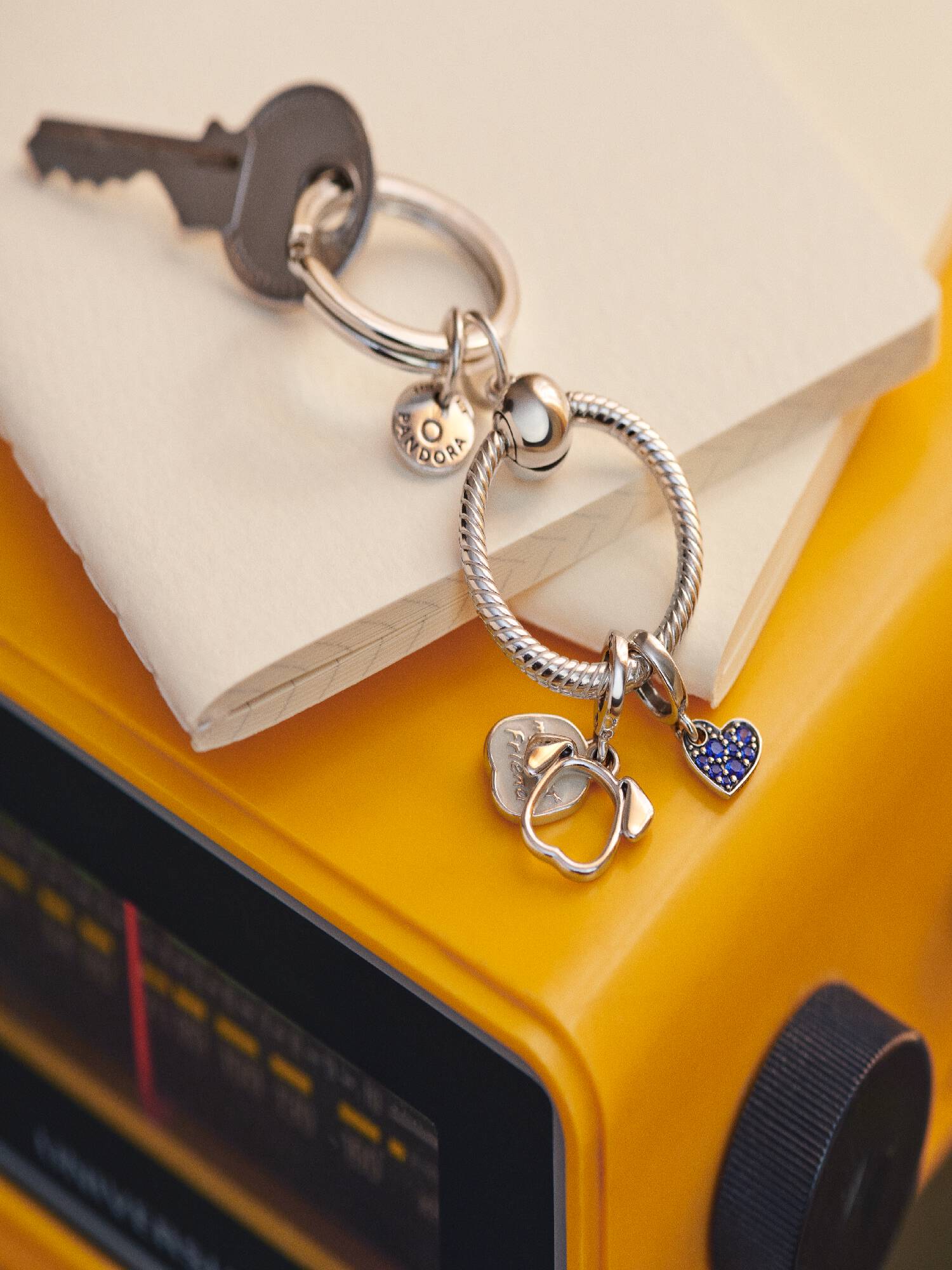Pandora Moments Charm Key Ring