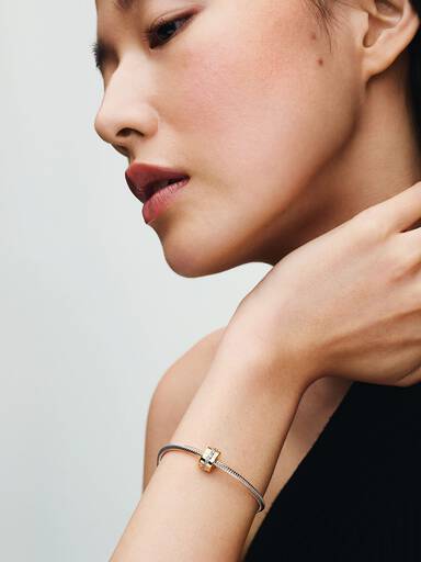 Clear Sparkling Row Clip Charm